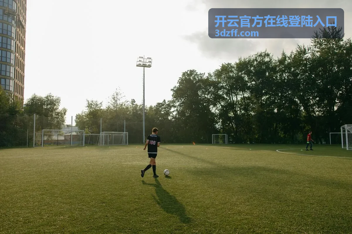 开云官方在线登陆入口进度查询说明