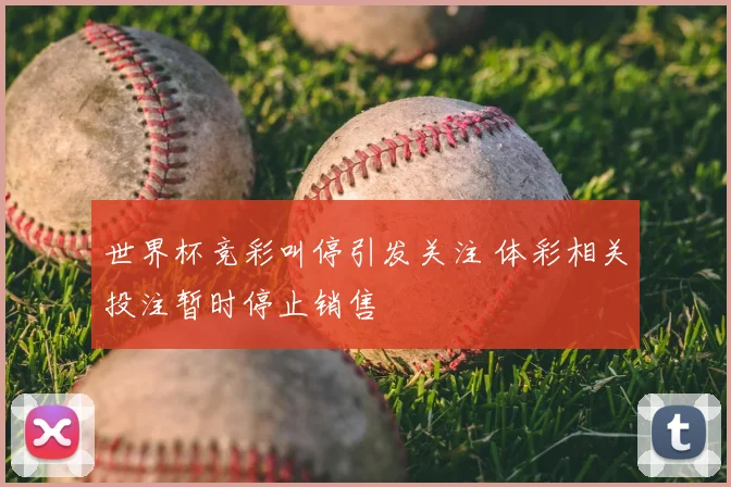 世界杯竞彩叫停引发关注 体彩相关投注暂时停止销售