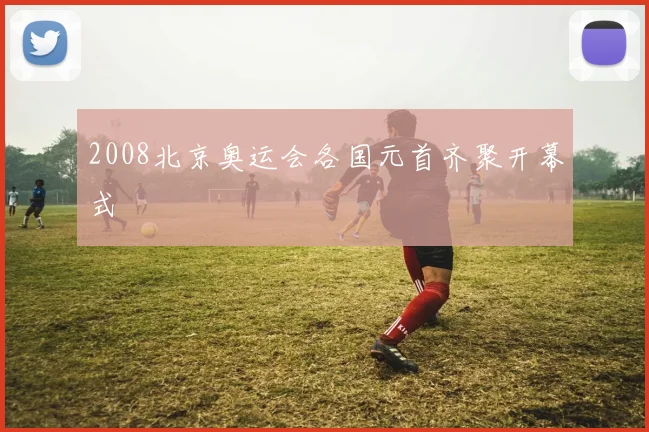 2008北京奥运会各国元首齐聚开幕式