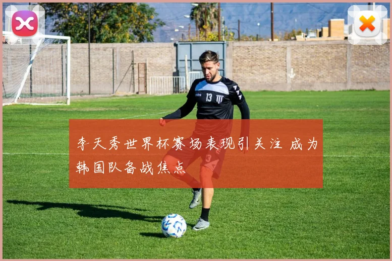 李天秀世界杯赛场表现引关注 成为韩国队备战焦点