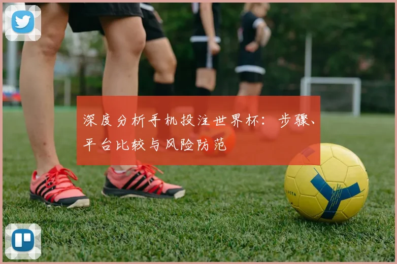 深度分析手机投注世界杯：步骤、平台比较与风险防范