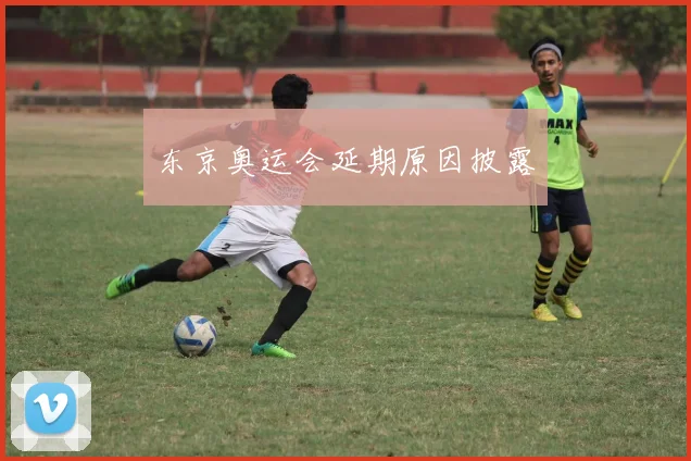 东京奥运会延期原因披露