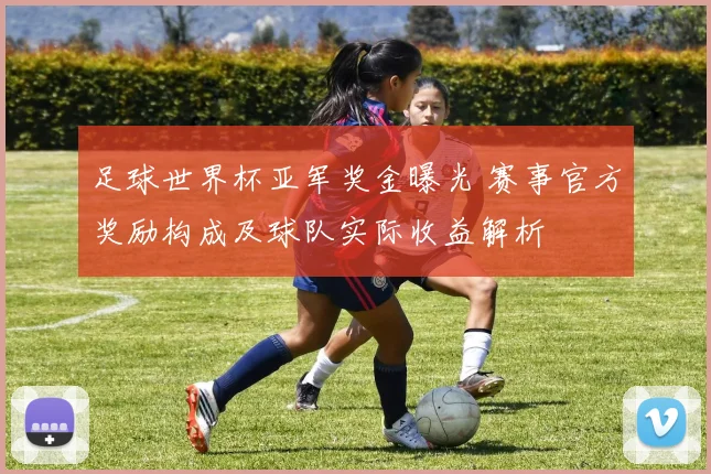 足球世界杯亚军奖金曝光 赛事官方奖励构成及球队实际收益解析