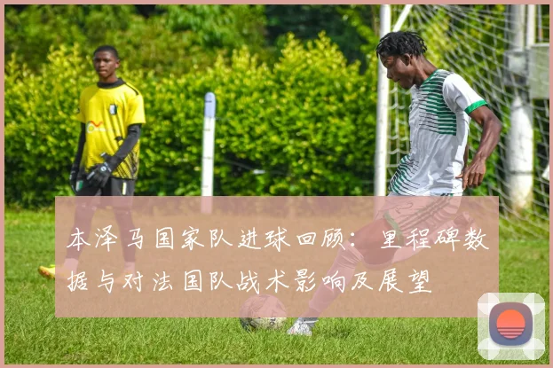 本泽马国家队进球回顾：里程碑数据与对法国队战术影响及展望